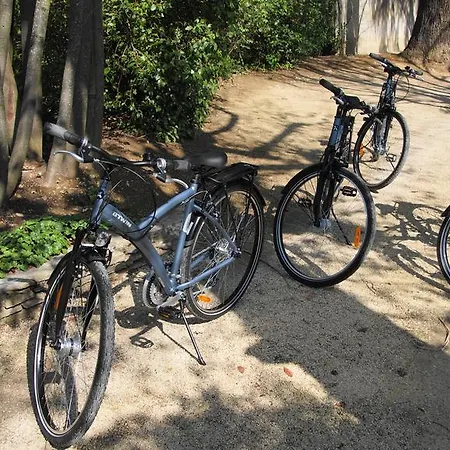 De Charme L'oree Du Parc 4*