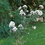De Charme L'oree Du Parc 4*