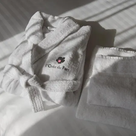 De Charme L'oree Du Parc 4* Romans-sur-Isere