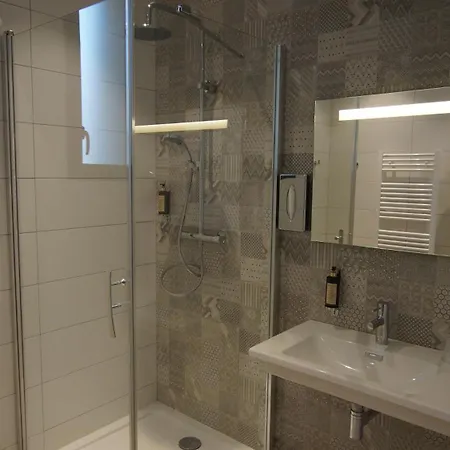 De Charme L'oree Du Parc 4* Romans-sur-Isere
