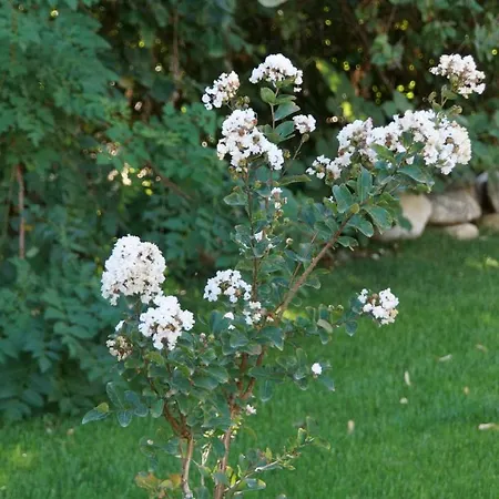 De Charme L'oree Du Parc 4*